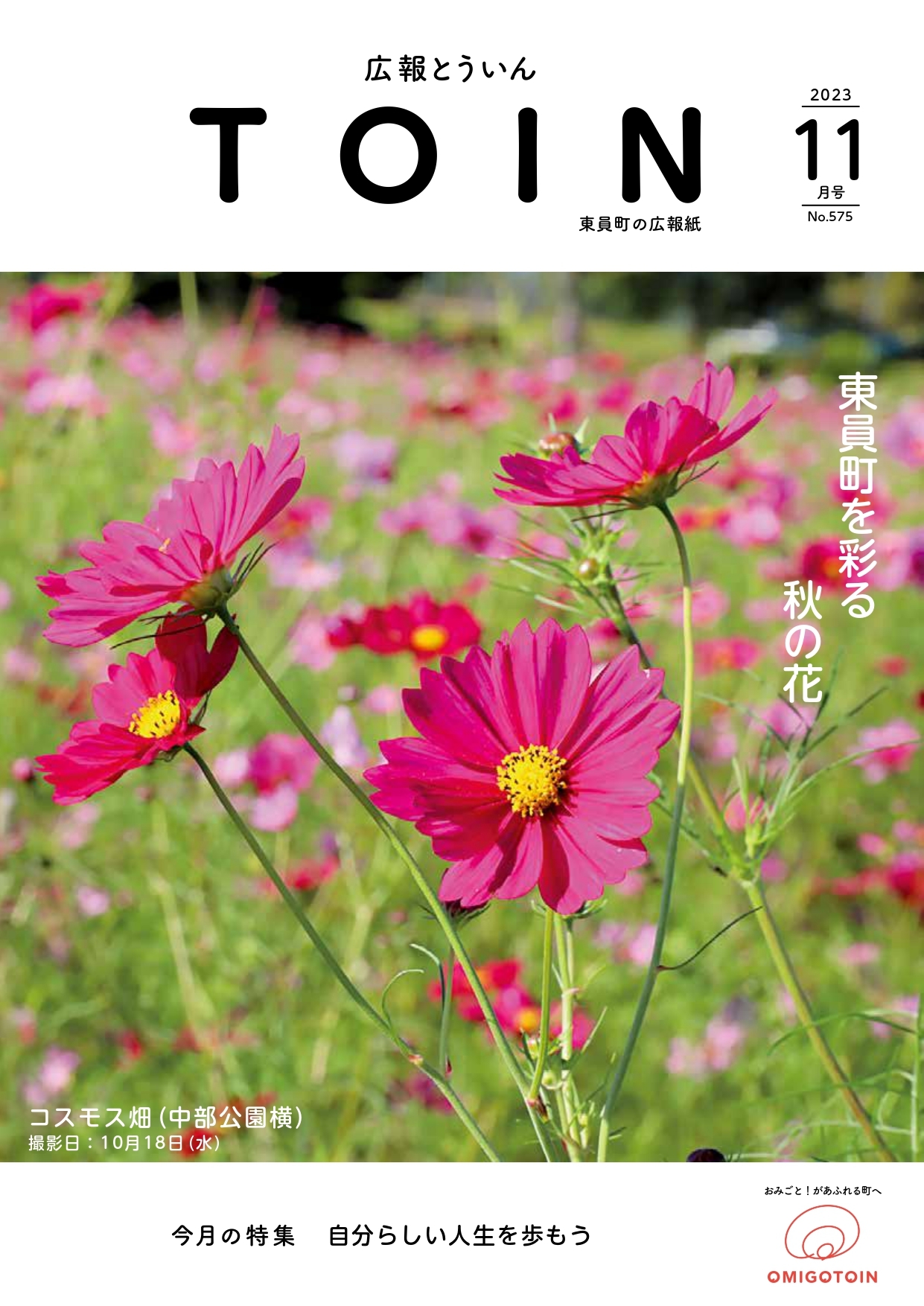広報とういん 令和5年11月号表紙