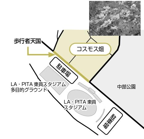 第2回とういんコスモスフェスタ地図