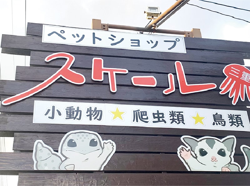 スケール三重外観