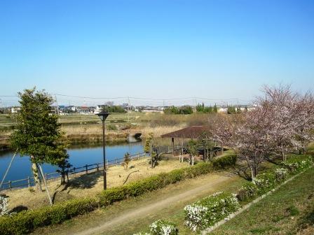 青空の下の池の周りに柵と木々がある神田池公園