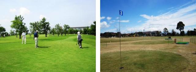 ゴルフコースを3人がラウンドしている写真とゴルフのグリーンの写真