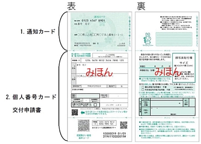 通知カード及び個人番号カード交付申請書兼電子証明書発行申請書の見本